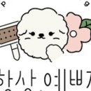 항상,예쁘개 이미지