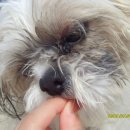 요요노래방 이미지