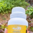 세등수산