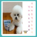 펫터 | 강아지동결건조간식 기호성 좋아 잘먹는 펫터링 요거큐브 후기