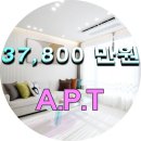 신혼.APT / 신사동 소형평수 아파트 잔여세대~~ 이미지