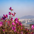 구리둘레길(1코스) 이미지