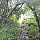 월평동산성 이미지