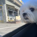 법인예손농원