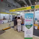 팜코리아 이미지