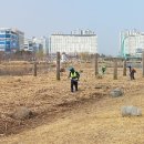 빛가람동 호수공원 이미지