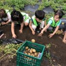 김정연농장 이미지