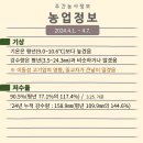 중부-을지-중부-250 | 4월 첫째주 주간농사정보 2024.04.01.~04.07.