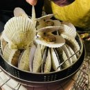 범도오토캠핑장 이미지