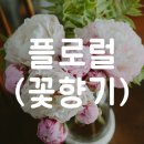 바디홀릭 화이트포션 2통째 후기:)