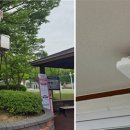 신호경로당 이미지