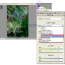 물빠진 로우(Raw)파일의 픽쳐컨트롤 간단하게 복원하기 이미지