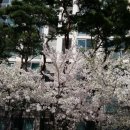 제주행정사합동사무소 이미지