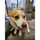 더본병원 이미지