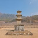 석탑마을 | 문경 내화리 삼층석탑 보물 제51호 통일신라시대 석탑 + 천연기념물 대하리 소나무