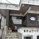 하사관길 | 춘천 브런치 카페 추천,애견동반 가능한 "더그린눅" 방문후기