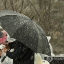 서울막창.곱창 - 양주시 평화로 1412 | 서울막창.곱창