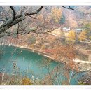 수산리-6 이미지