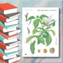 [실천학교]보타니컬 아트 색연필로 꽃 그림 | [책 리뷰] 사실은 어렵지 않았어, 보태니컬아트 - 한국보태니컬아트 협동조합 지음