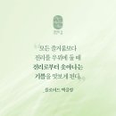 인애과학 이미지