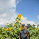 고찬농장 이미지