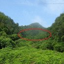 김삿갓면-41 이미지