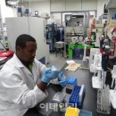 아다네일 이미지