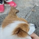 중앙동223 이미지