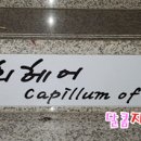 김상희 미용실