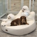 해피오브트리밍 이미지