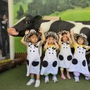 율리목장 이미지