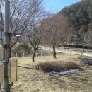 제비식당 이미지