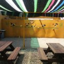 수네 민박 이미지