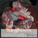 숯구지 | 바베큐 숯 고민 끝 비젼코리아비장탄 비장탄 솔직 후기