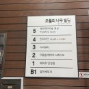 인피닉스 에스테틱