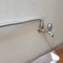 고양이미용연구소 이미지