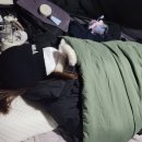 스피드오토