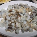 신안낙지천국