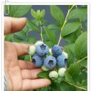 해룡농장 이미지