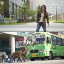 극한직업 이미지