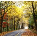 청남대 진입로 이미지