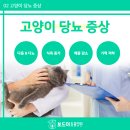 형곡동물병원 이미지