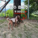 오수(순천방향)휴게소-그린웰 | 여기는 그냥 지나칠 수가 없는데? 오수휴게소 펫테마파크 가봤더니