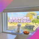 돌담이우다 펜션 | [제주 서쪽 애견동반 숙소] 돌담이우다펜션, 호텔 보다 낫네?