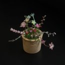 식물공예 | 부산 공방 시옷지읒 ㅣ 주얼리 비즈 공예 창업 수업 추천 (정규 4-5주차) 비즈식물 화분 클래스