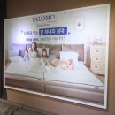 진해가구