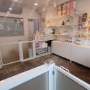 준펫살롱 이미지