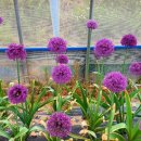 하청농장 이미지