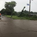 온평리-9 이미지