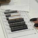 상남동278 이미지